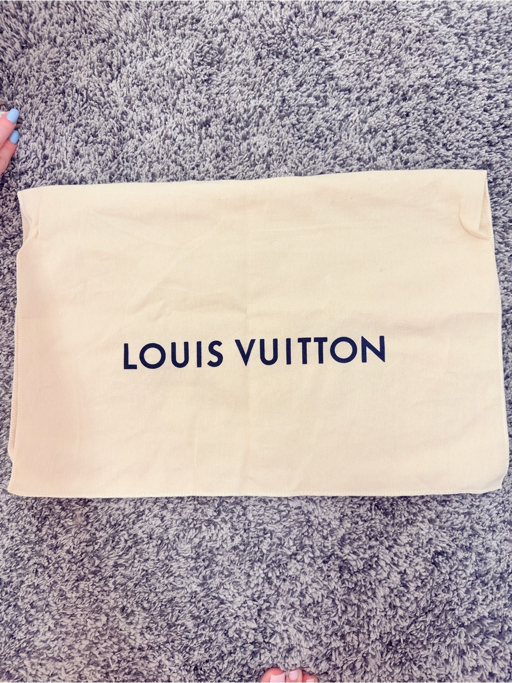 Louis Vuitton Beige and Black Logo Dust Pouch